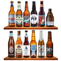 BOX DECOUVERTE 12 BIERES DE...