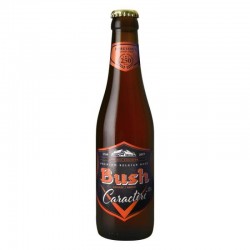 BUSH BEER AMBREE 0,33L