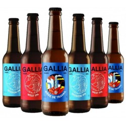 BOX GALLIA 100% IPA 6*33CL