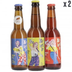 BOX DECOUVERTE REBELLE 6*33CL
