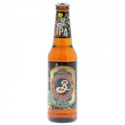 BROOKLYN DEFENDER IPA 33CL