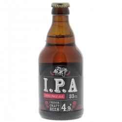 PAGE 24 IPA 33CL